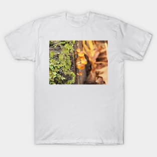 Very young sulphur tuft mushrooms T-Shirt